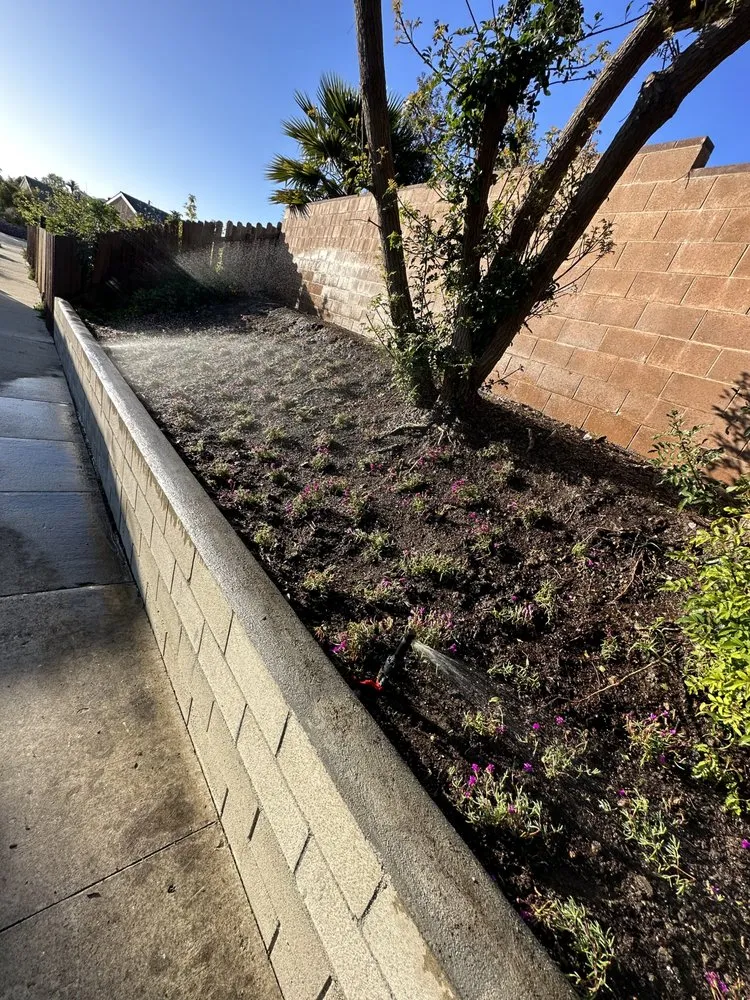 Affordable landscape installation in Oxnard, CA - Higos lawncare by Saul Lopez