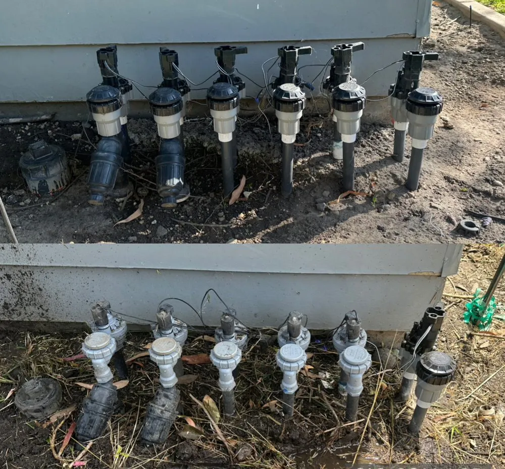 Reliable yard cleanup service in Oxnard, CA - Higos lawncare by Saul Lopez