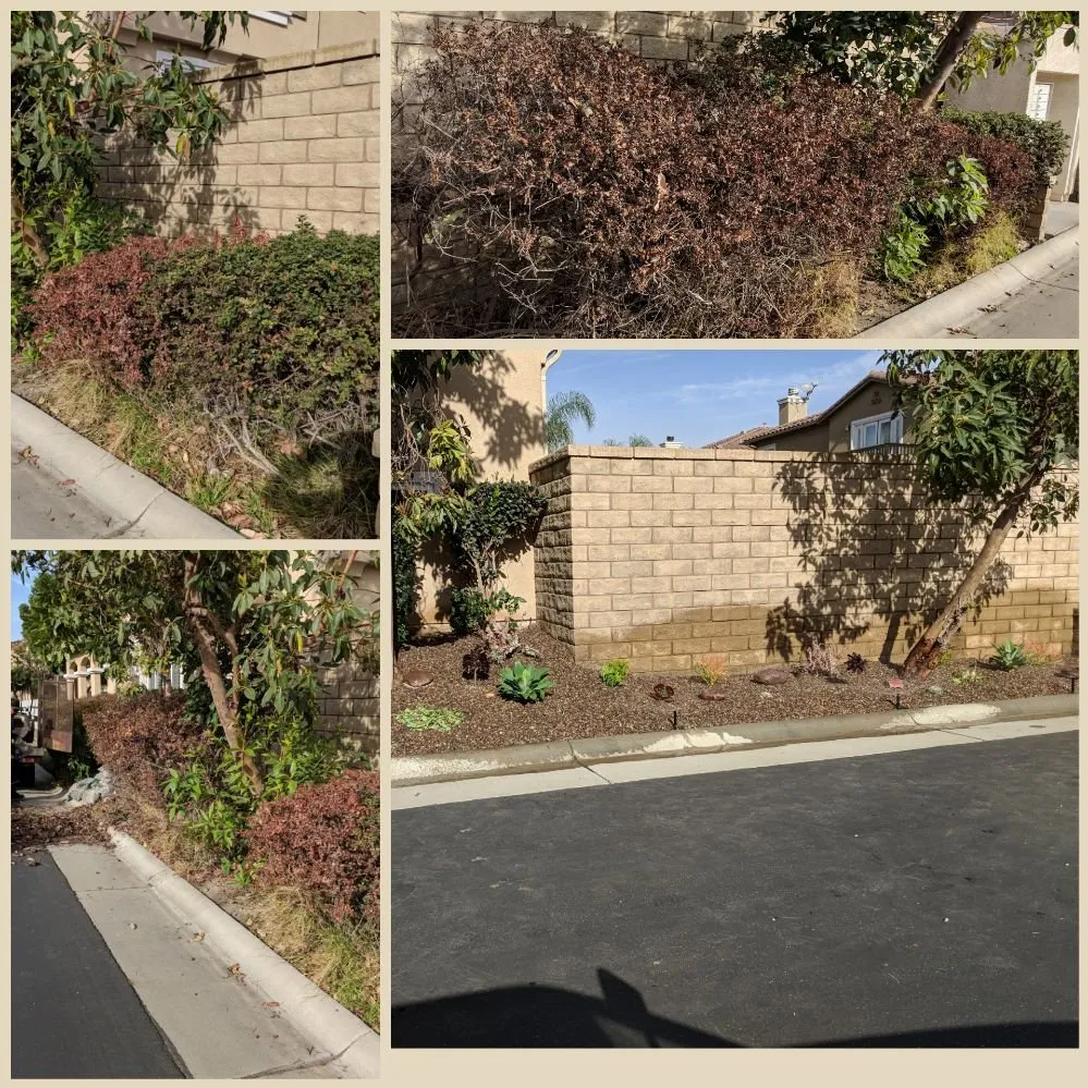 Local landscape design in Oxnard, CA - Higos Lawncare