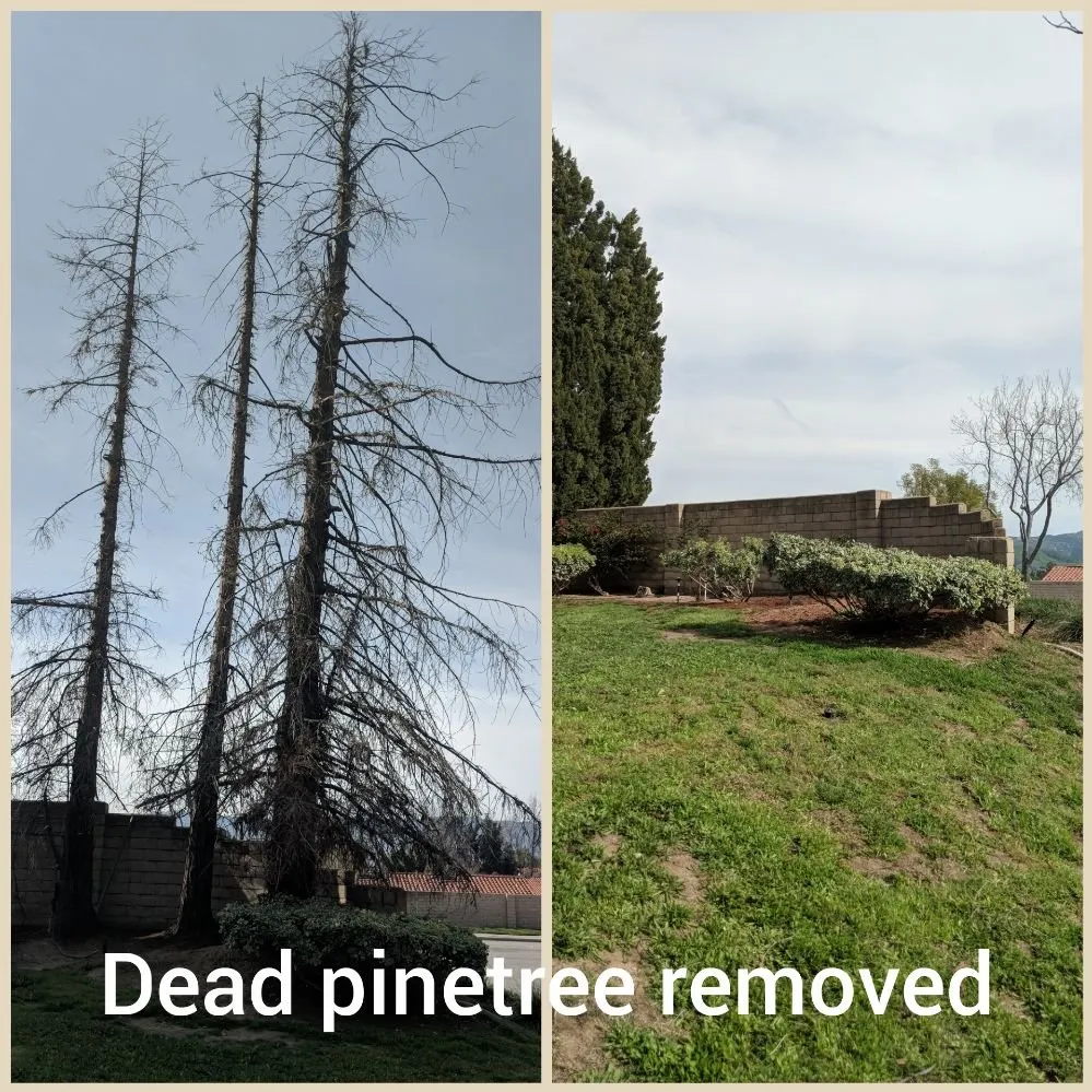 Custom residential landscaping for year-round maintenance across Oxnard, CA - Higos Lawncare