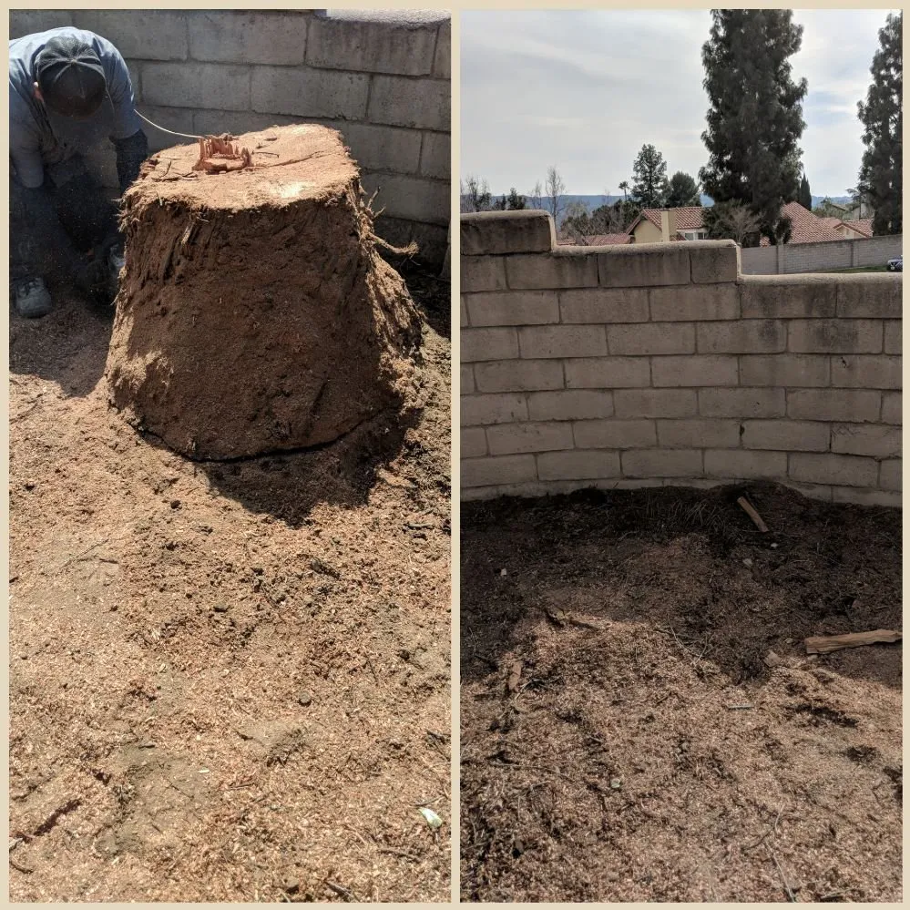 Top-rated yard cleanup service near you in Oxnard, CA by Higos Lawncare