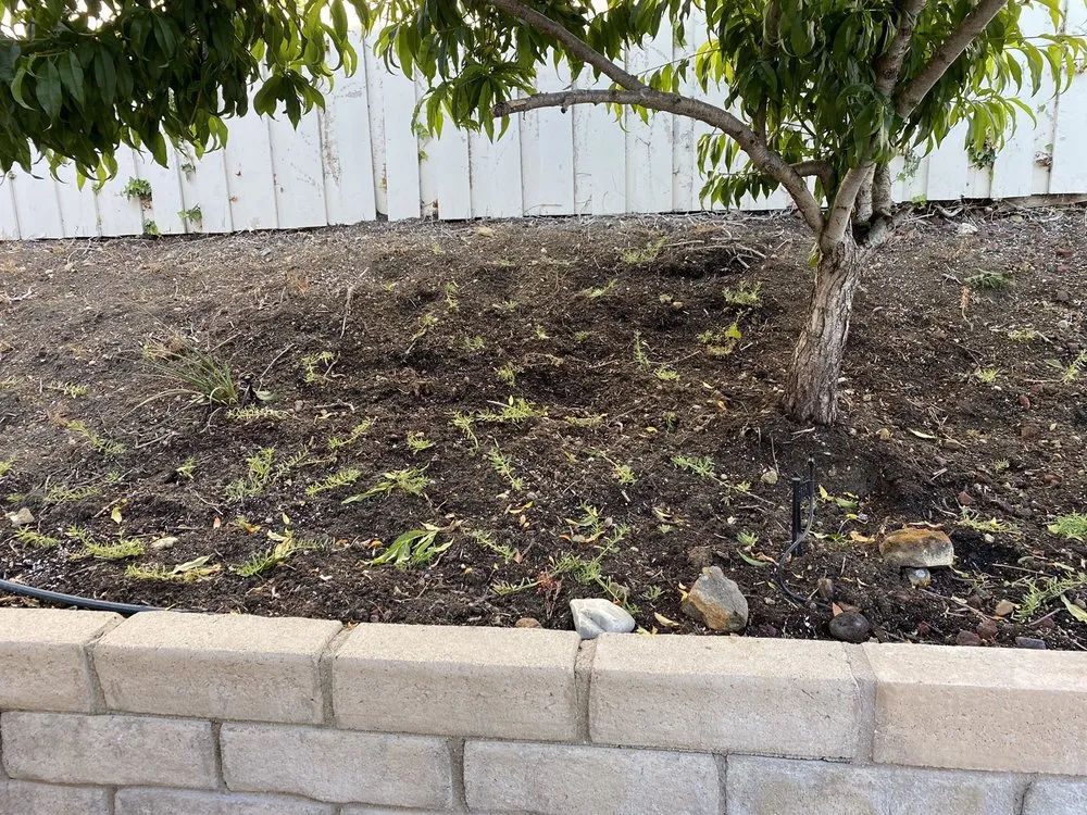 Reliable landscape installation with custom design in Oxnard, CA by Higos Lawncare