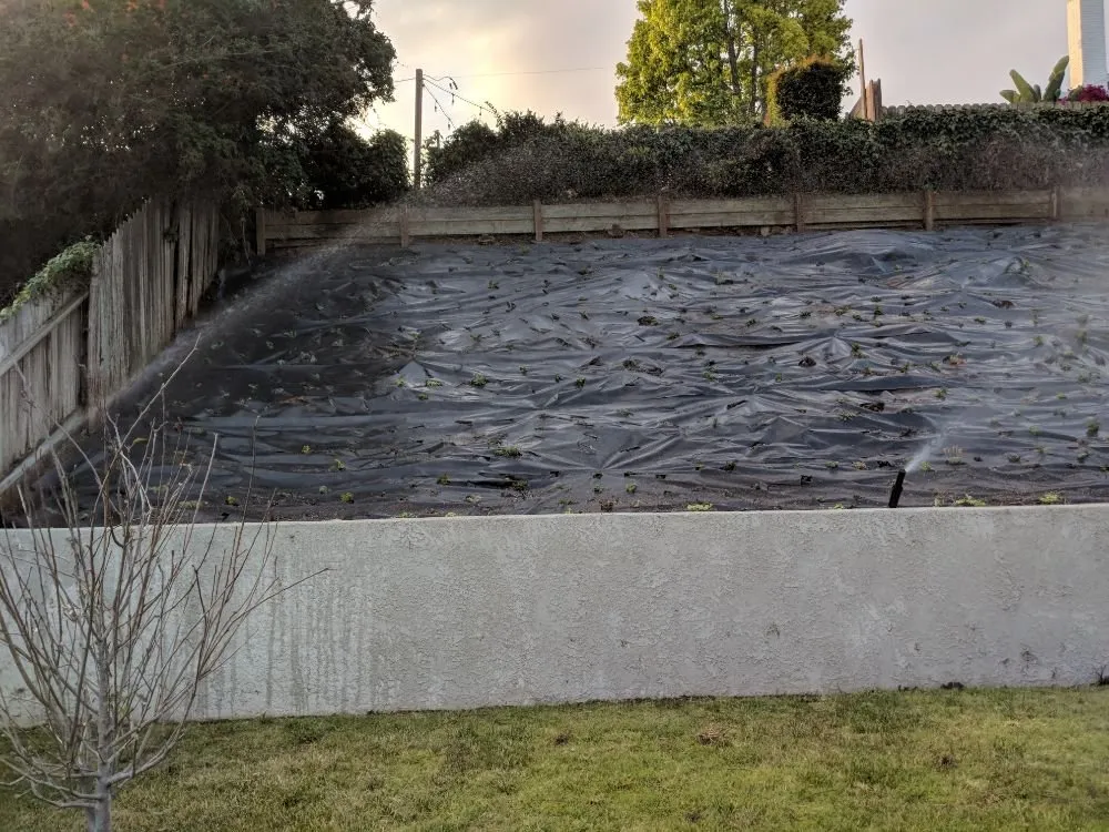 Trusted landscape design for homes across Oxnard, CA - Higos Lawncare