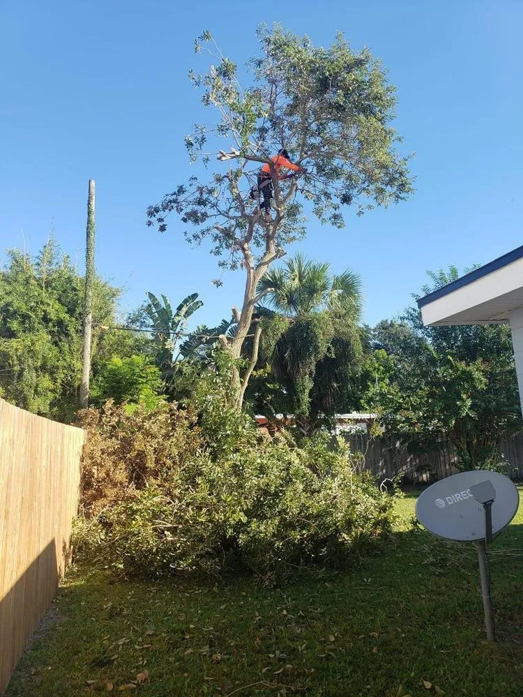 Local yard cleanup service in Mount Dora, FL by Higuera Landscaping