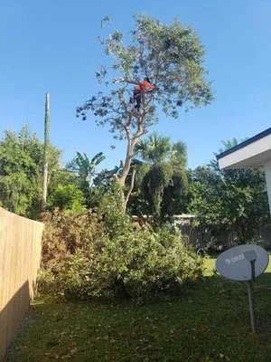 Higuera Landscaping Logo