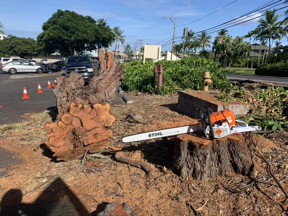 Professional landscape design for outdoor upgrades across Kailua-Kona, HI - HIL Maintenance