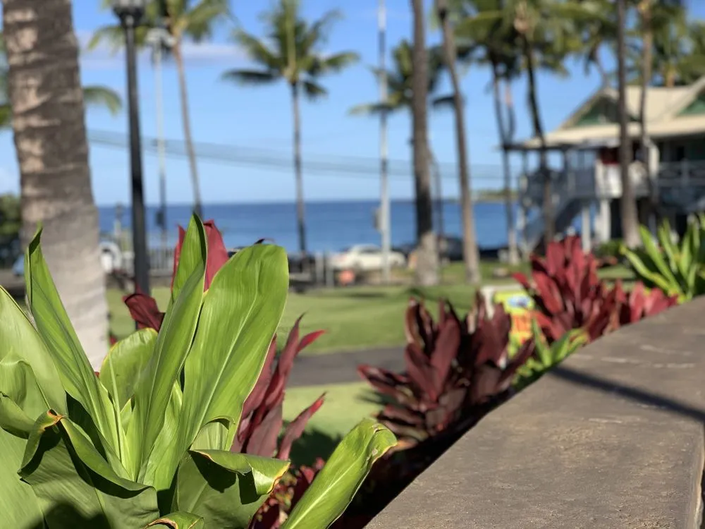 Affordable outdoor landscaping for homes across Kailua-Kona, HI - HIL Maintenance