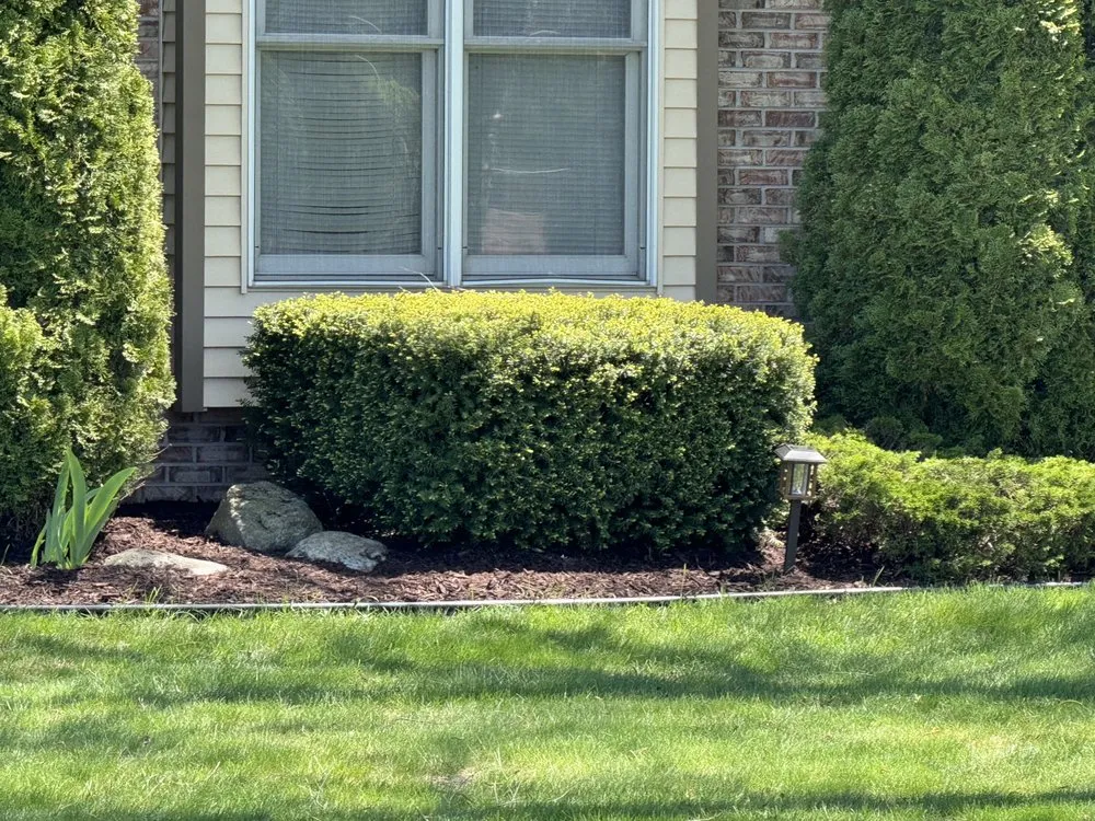 Local lawn mowing service in Lexington, MI - Hildebrands lawn and snow removal