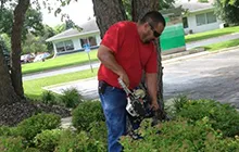 Professional yard cleanup service in Stewartville, MN by Hildebrandt Services