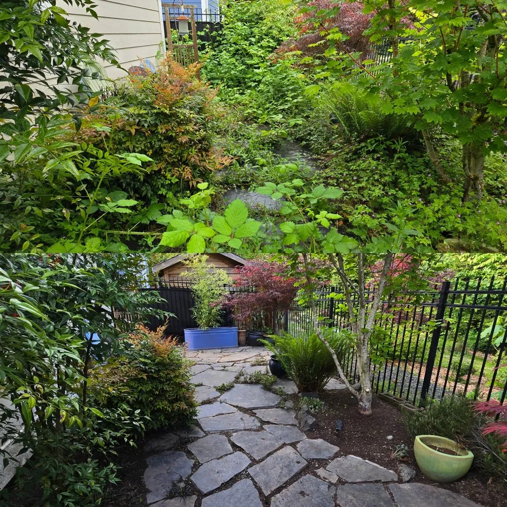Affordable yard cleanup service for year-round maintenance across Poulsbo, WA - Hilf Landscape & Design