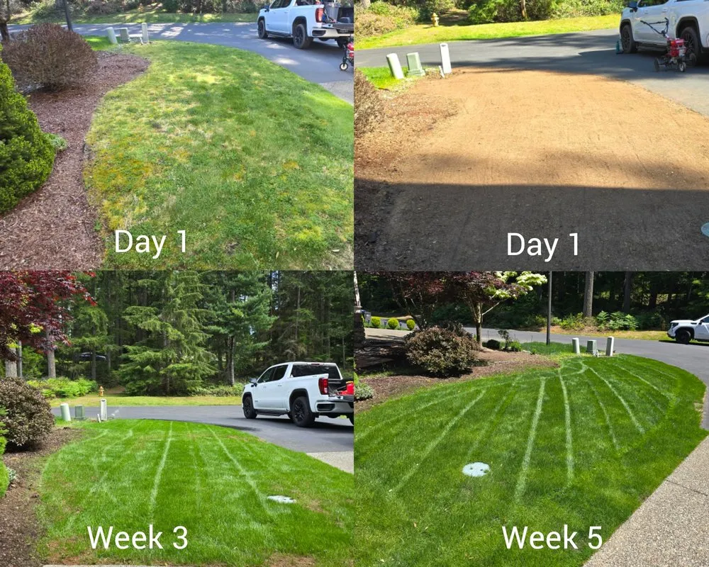Professional garden landscaping experts serving Poulsbo, WA - Hilf Landscape & Design