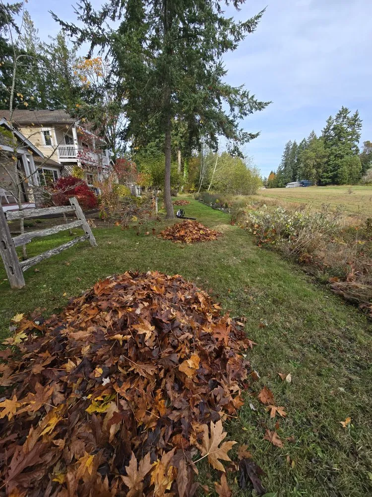 Top-rated yard cleanup service for year-round maintenance across Poulsbo, WA - Hilf Landscape & Design