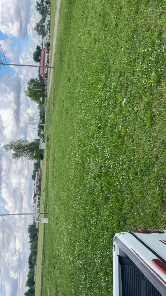 Professional landscape design for outdoor upgrades in Portageville, MO by Hill & Will Lawn Service