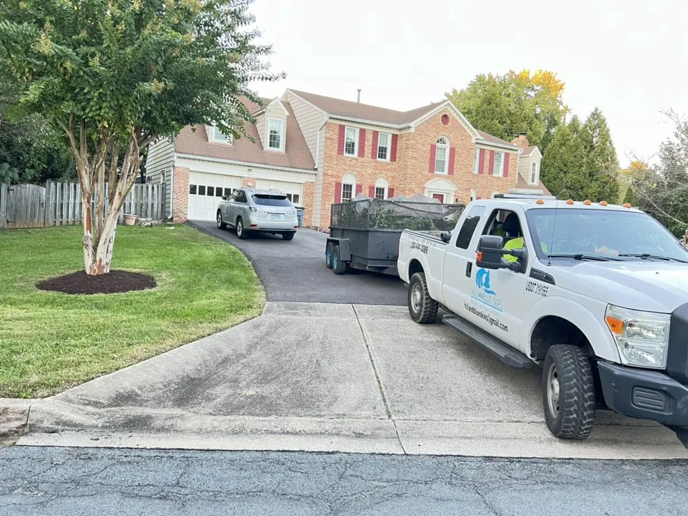 Local landscape design in Wheaton, MD by Hill And Blue Skies