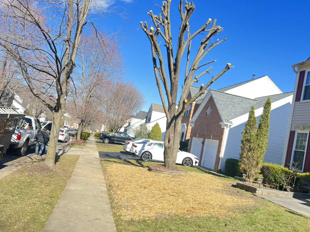 Trusted garden landscaping for homes in Wheaton, MD by Hill And Blue Skies