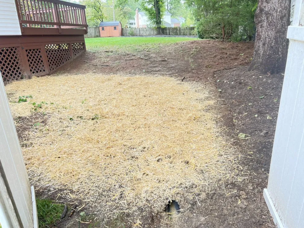 Trusted landscaping services experts serving Wheaton, MD - Hill And Blue Skies