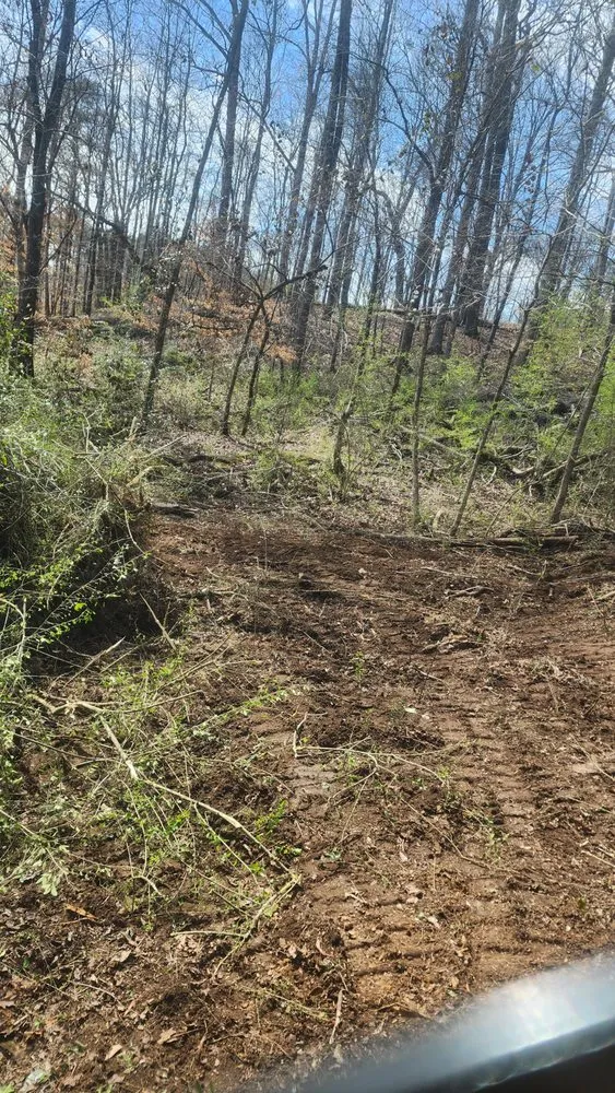 Custom lawn mowing service in Pinson, AL by Hill Construction and Development