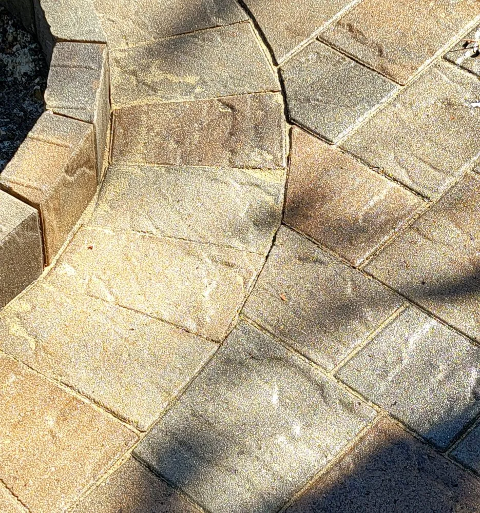 Trusted yard cleanup service for beautiful yards across San Carlos, CA - Hill Construction Company