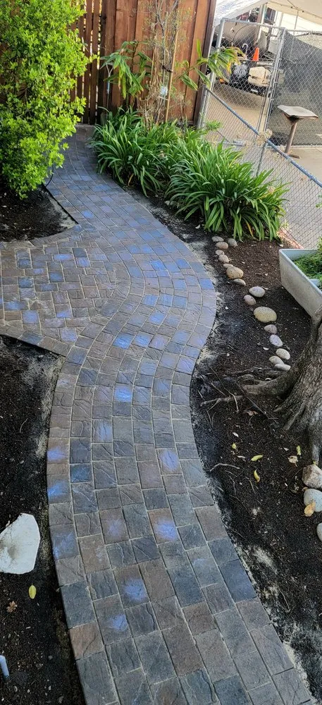 Local yard maintenance for year-round maintenance across San Carlos, CA - Hill Construction Company