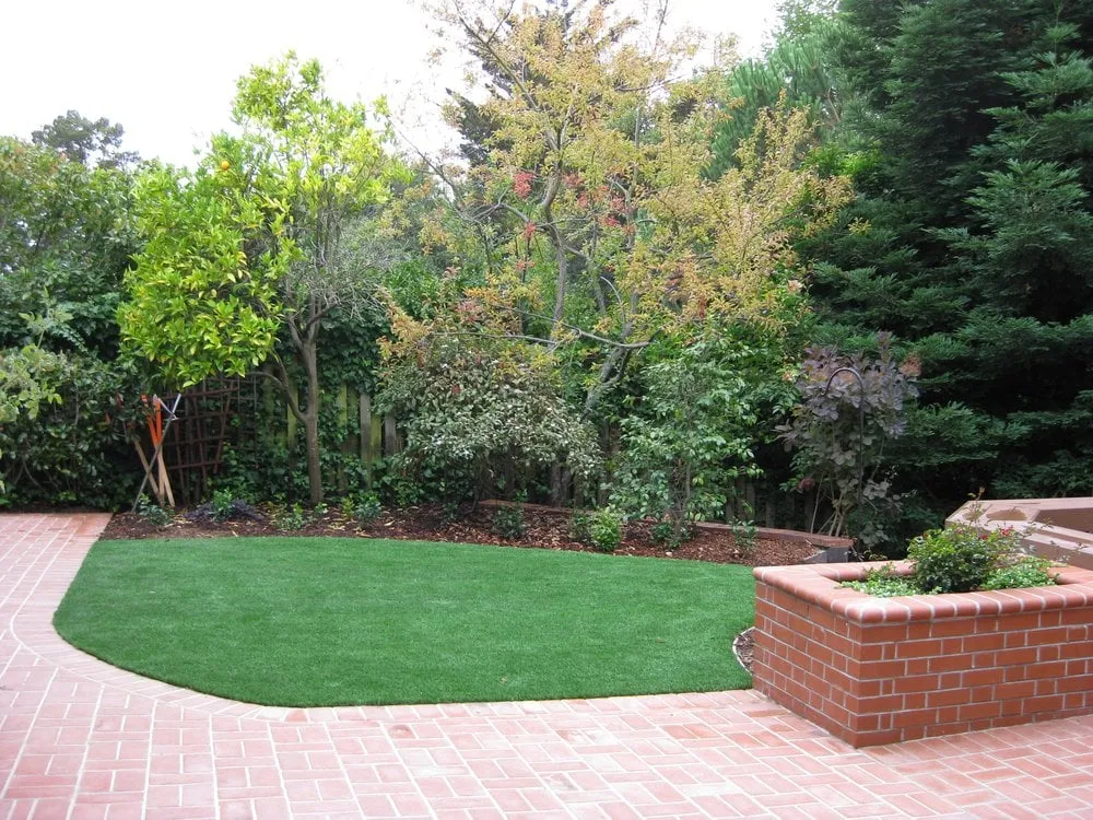 Top-rated yard cleanup service experts serving San Carlos, CA - Hill Construction Company