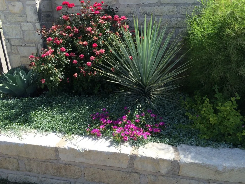 Trusted yard maintenance in Spicewood, TX by Hill Country Blooms