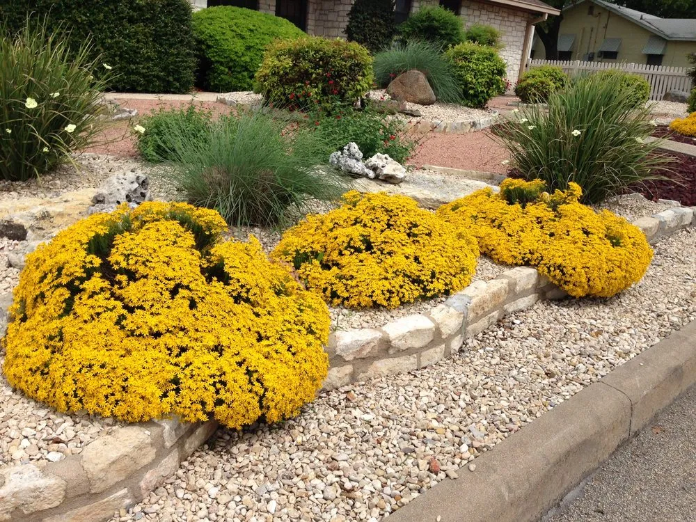 Expert lawn care service in Fredericksburg, TX by Hill Country Gardens