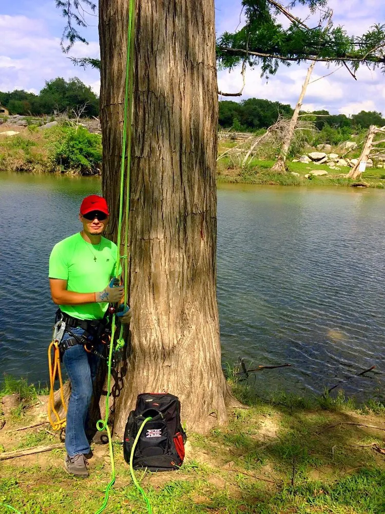 Local yard maintenance for year-round maintenance across Austin, TX - Hill Country Landscape And Tree