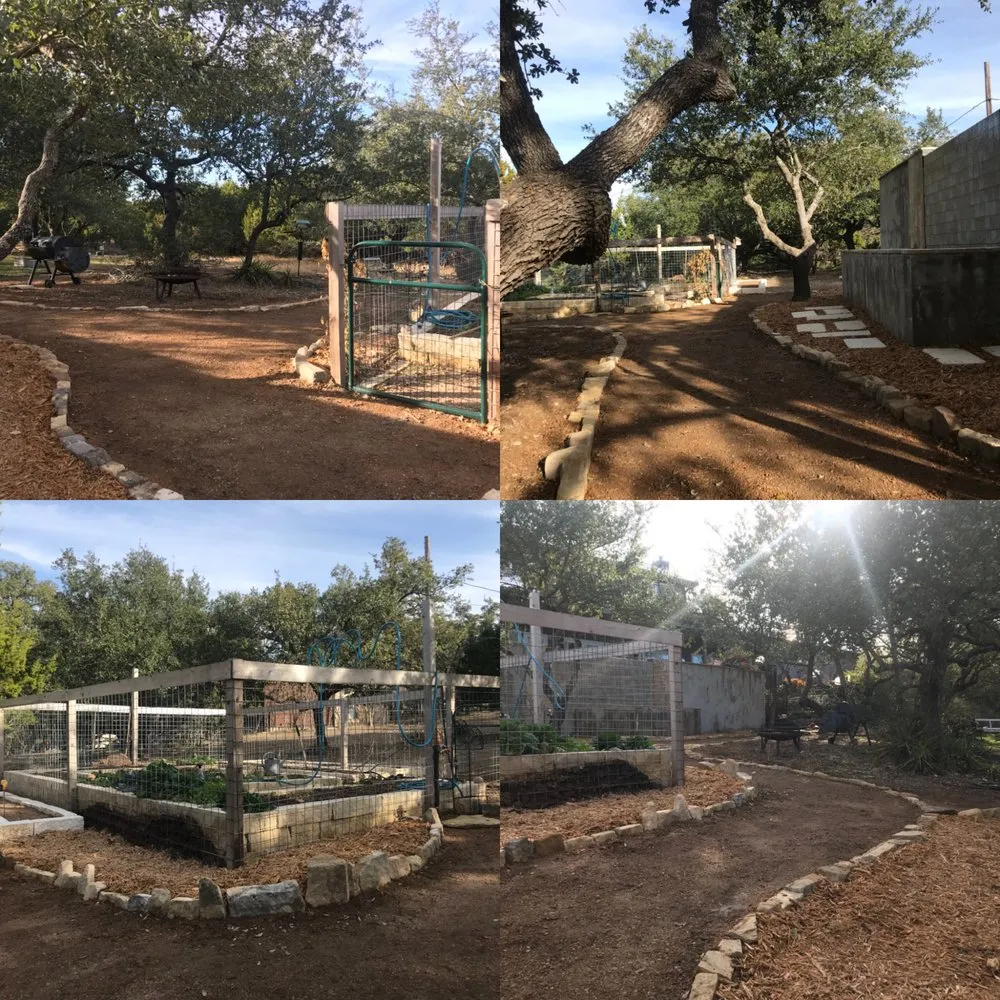 Professional yard maintenance in Austin, TX by Hill Country Landscape And Tree