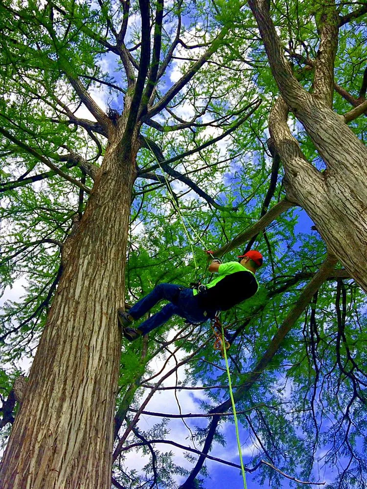 Local lawn mowing service in Austin, TX by Hill Country Landscape And Tree