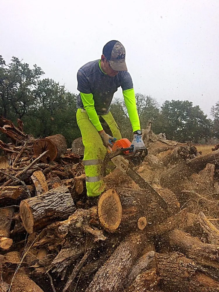 Expert landscape design for residential properties in Austin, TX by Hill Country Landscape And Tree