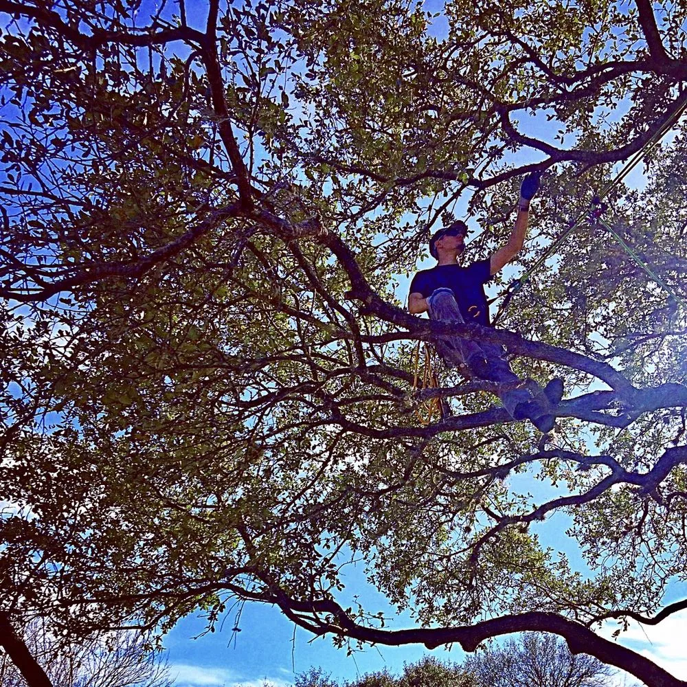 Custom yard cleanup service for outdoor upgrades across Austin, TX - Hill Country Landscape And Tree