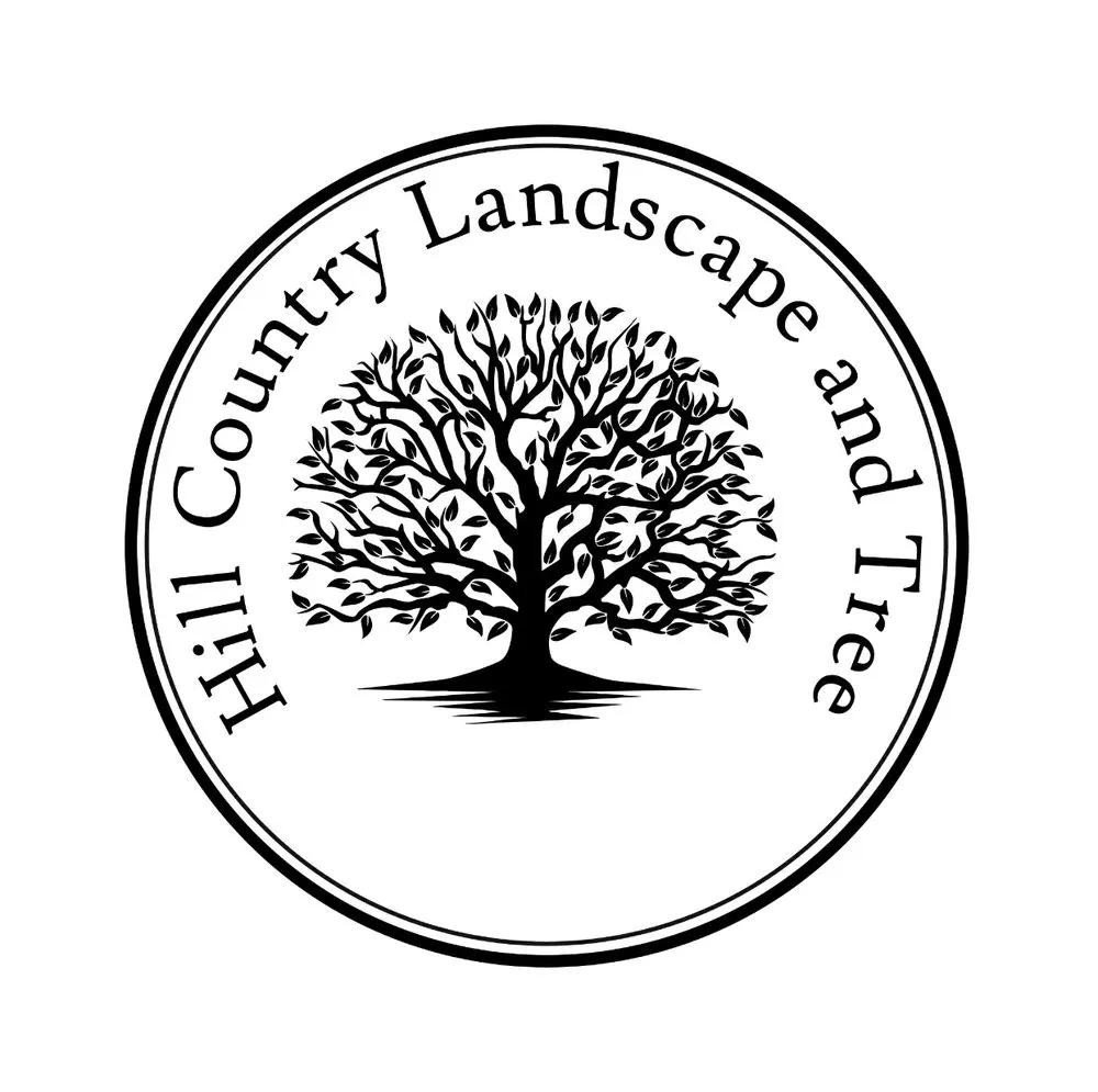 Top-rated yard cleanup service in Austin, TX by Hill Country Landscape And Tree