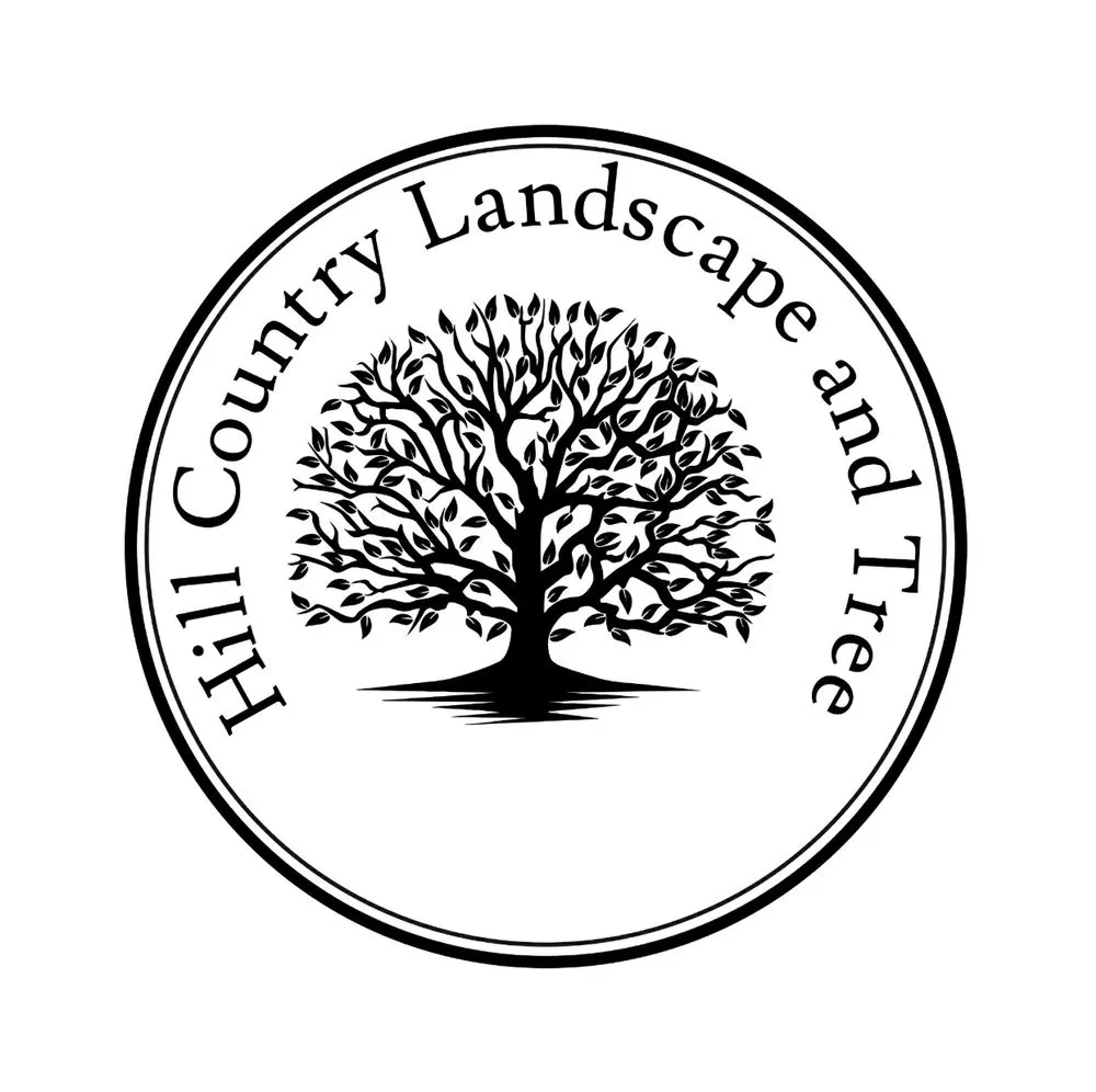 Local lawn care service for year-round maintenance in Austin, TX by Hill Country Landscape And Tree