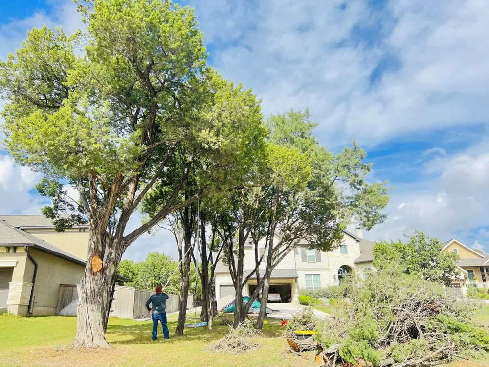 Professional landscape design experts serving San Antonio, TX - Hill Country Landscaping & Tree Service