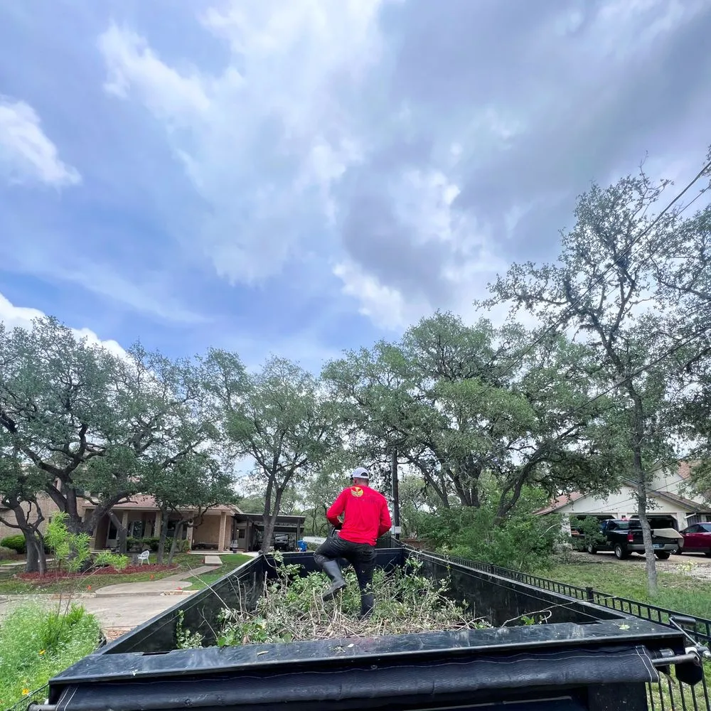 Expert landscape design in San Antonio, TX - Hill Country Landscaping & Tree Service