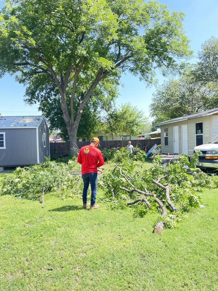 Trusted lawn care service in San Antonio, TX by Hill Country Landscaping & Tree Service