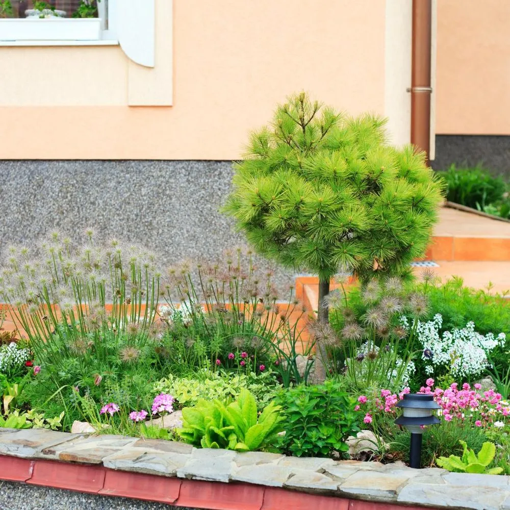 Professional outdoor landscaping for outdoor upgrades across Meadowlakes, TX - Hill Country Landscaping