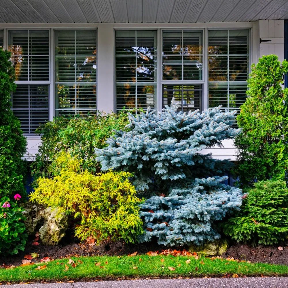 Reliable landscaping services experts serving Meadowlakes, TX - Hill Country Landscaping