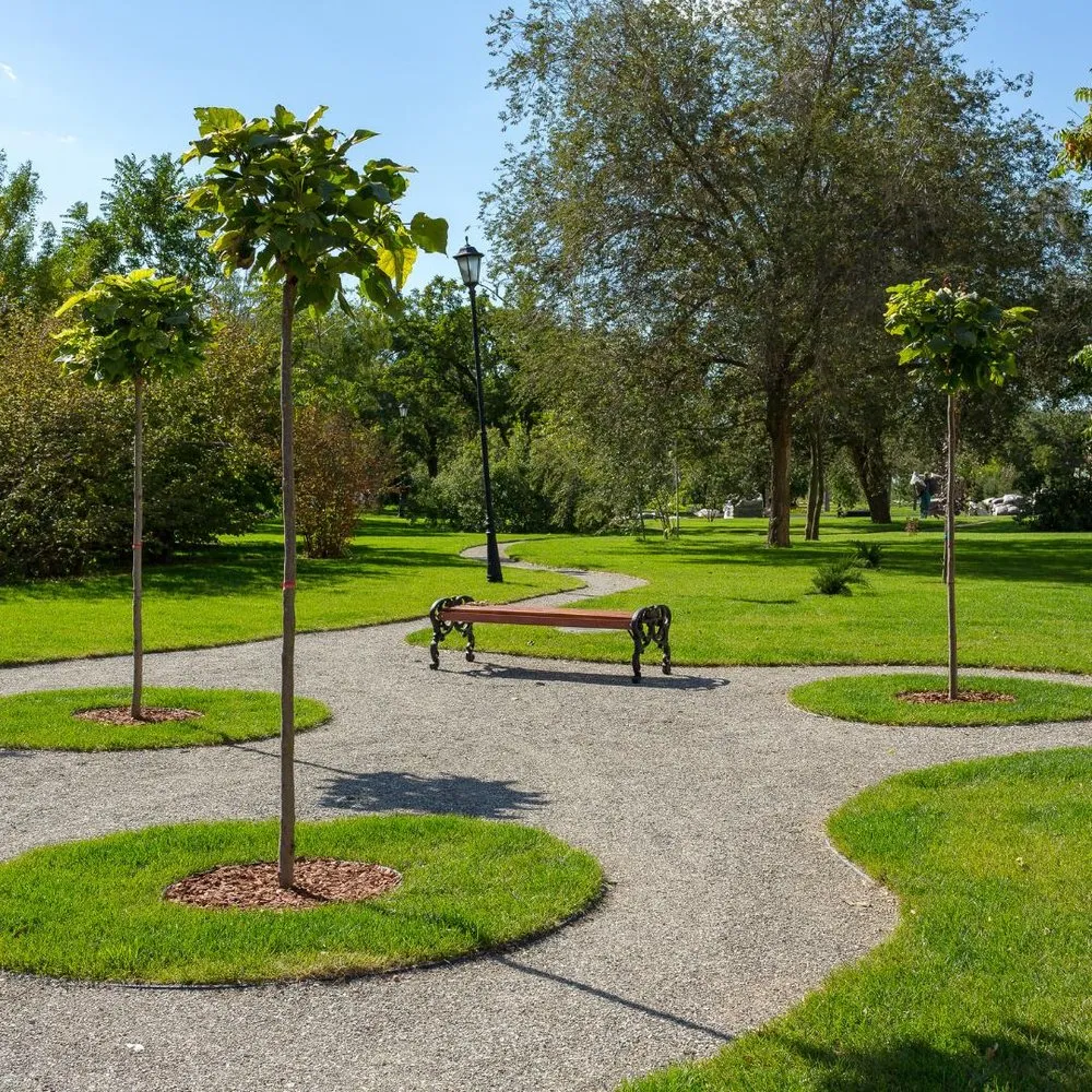 Expert yard maintenance experts serving Meadowlakes, TX - Hill Country Landscaping