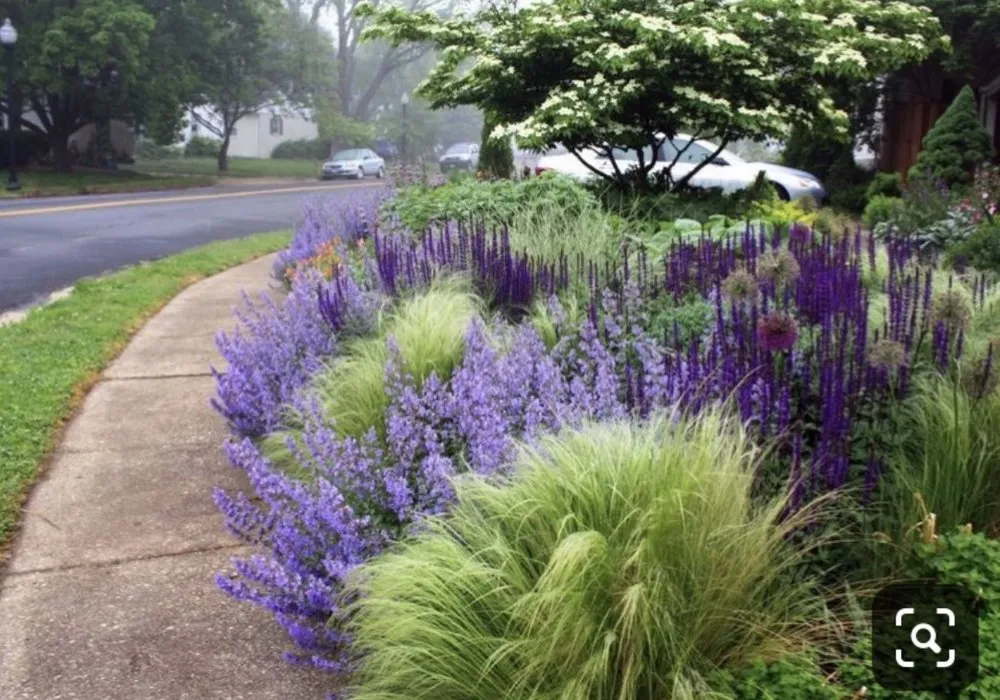 Local lawn mowing service near you in Meadowlakes, TX by Hill Country Landscaping