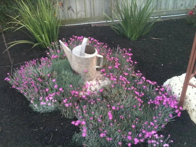 Affordable yard cleanup service for homes across Boerne, TX - Hill Country Scapes & Design, LLC