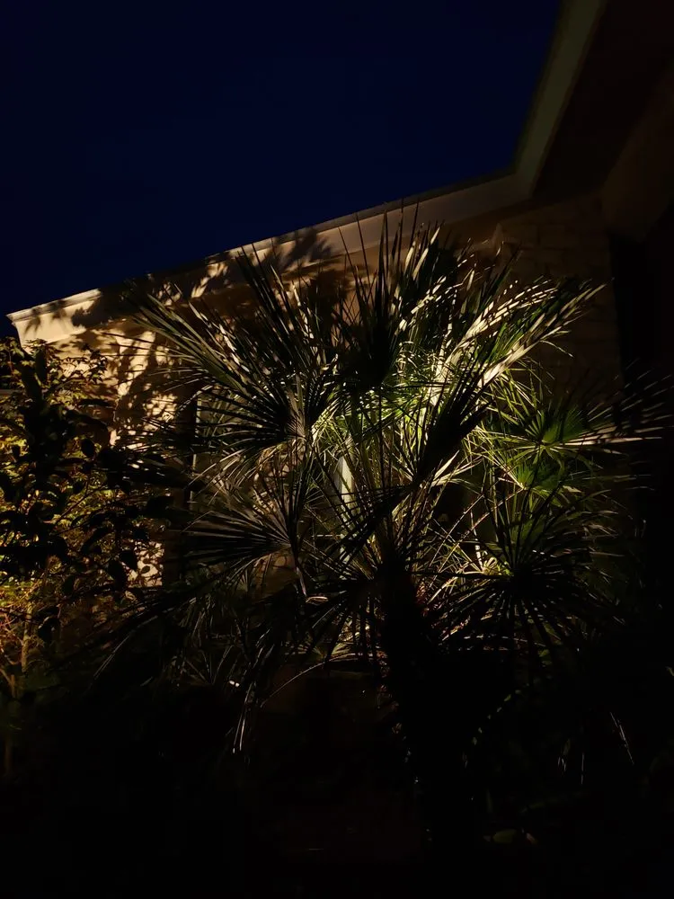 Top-rated garden landscaping experts serving Comfort, TX - Hill Country Sod