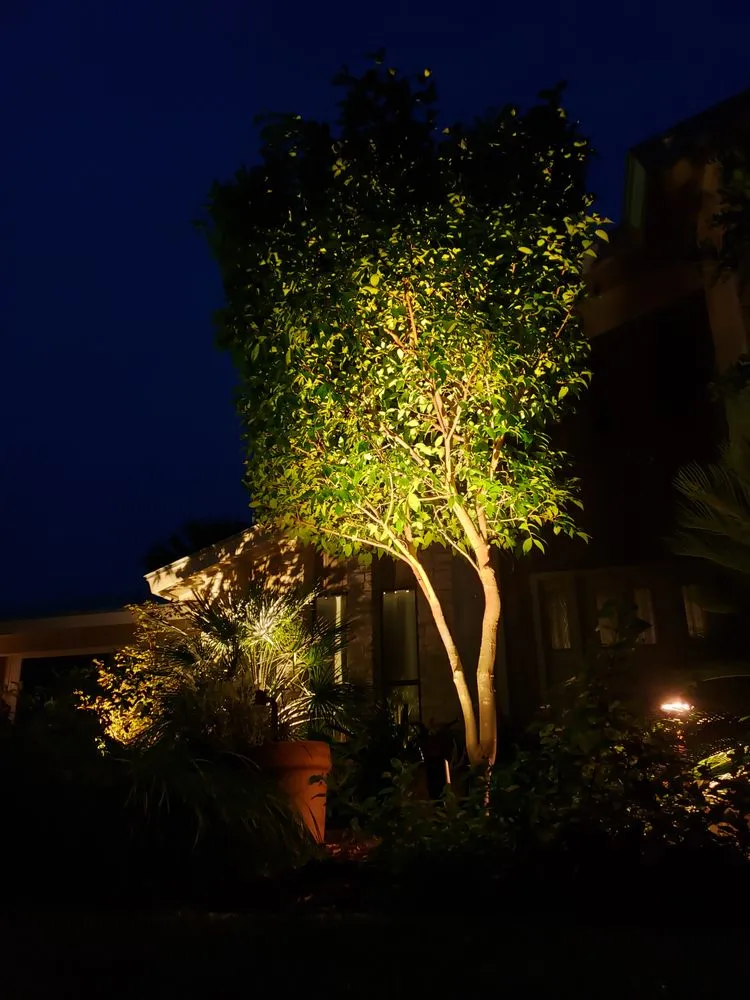 Top-rated landscape design with custom design across Comfort, TX - Hill Country Sod