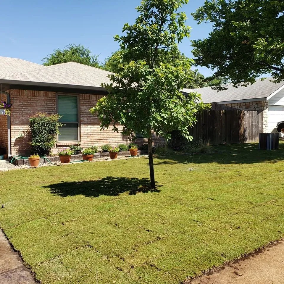Custom landscape design in Comfort, TX - Hill Country Sod