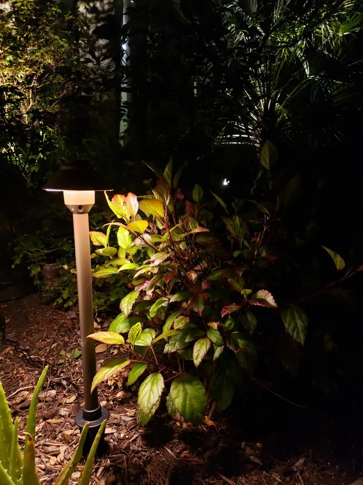 Trusted landscaping services in Comfort, TX by Hill Country Sod