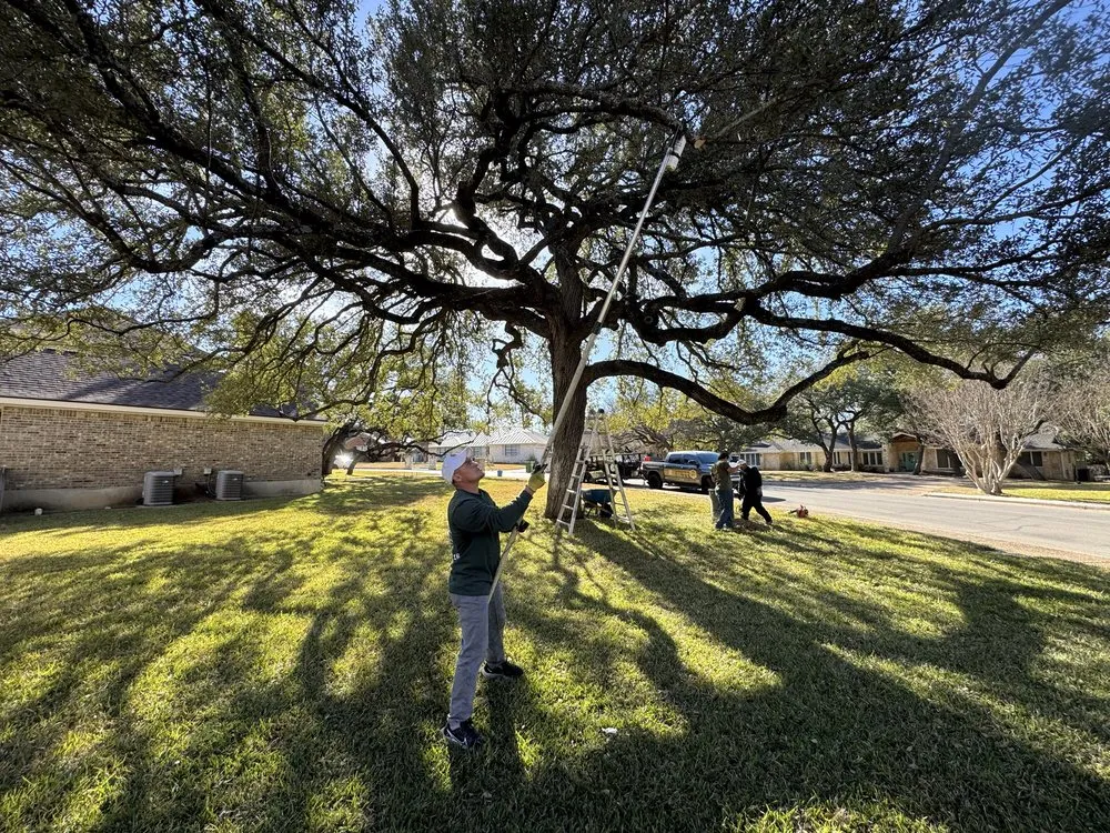 Expert lawn care service for homes in Round Rock, TX by Hill Country Tree Trimming