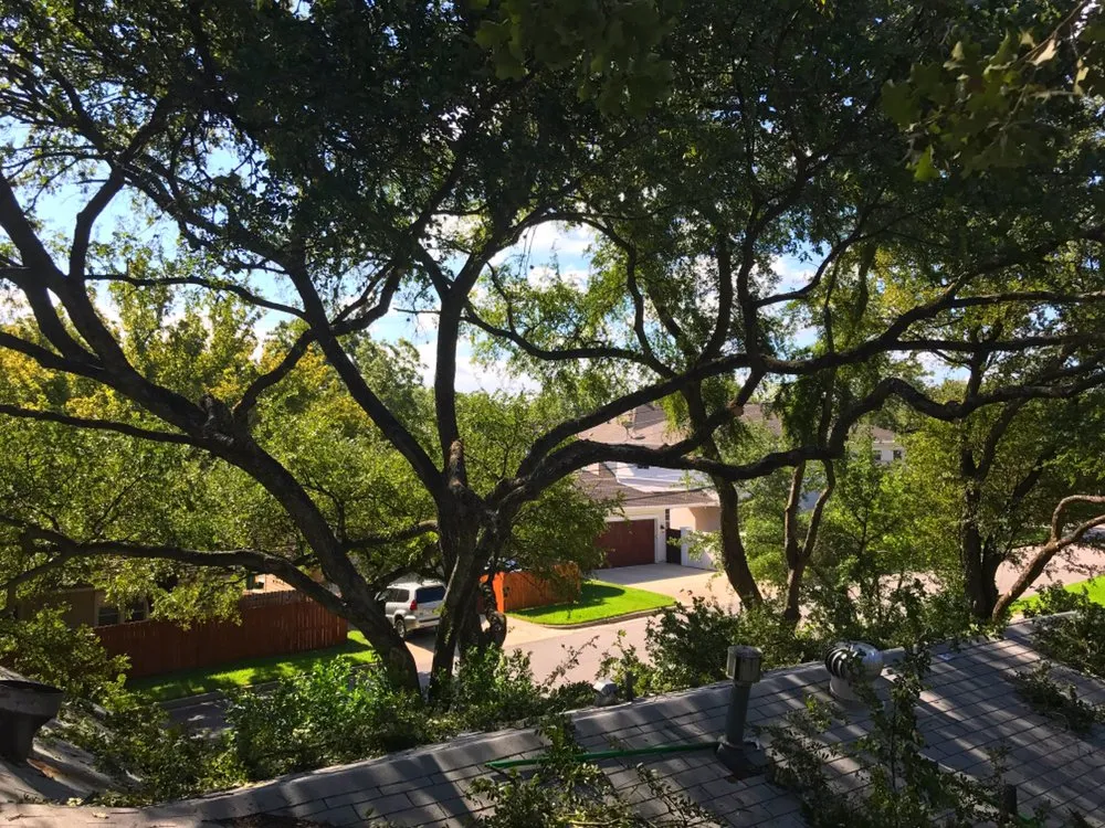 Custom landscape installation for outdoor upgrades in Round Rock, TX by Hill Country Tree Trimming