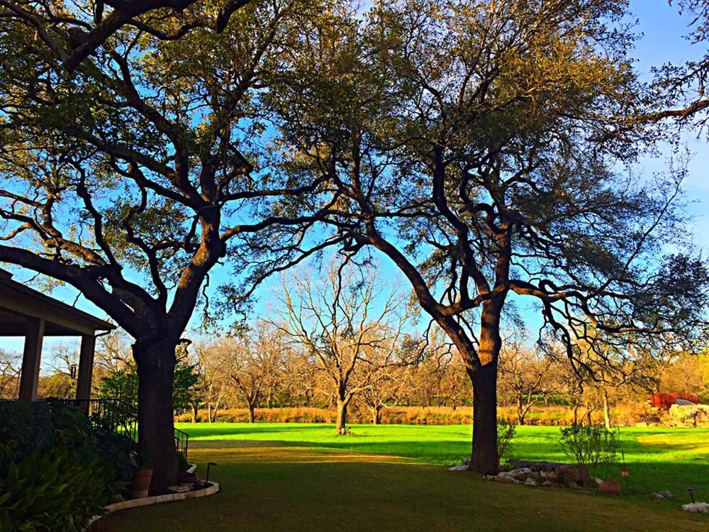 Top-rated garden landscaping in Round Rock, TX by Hill Country Tree Trimming