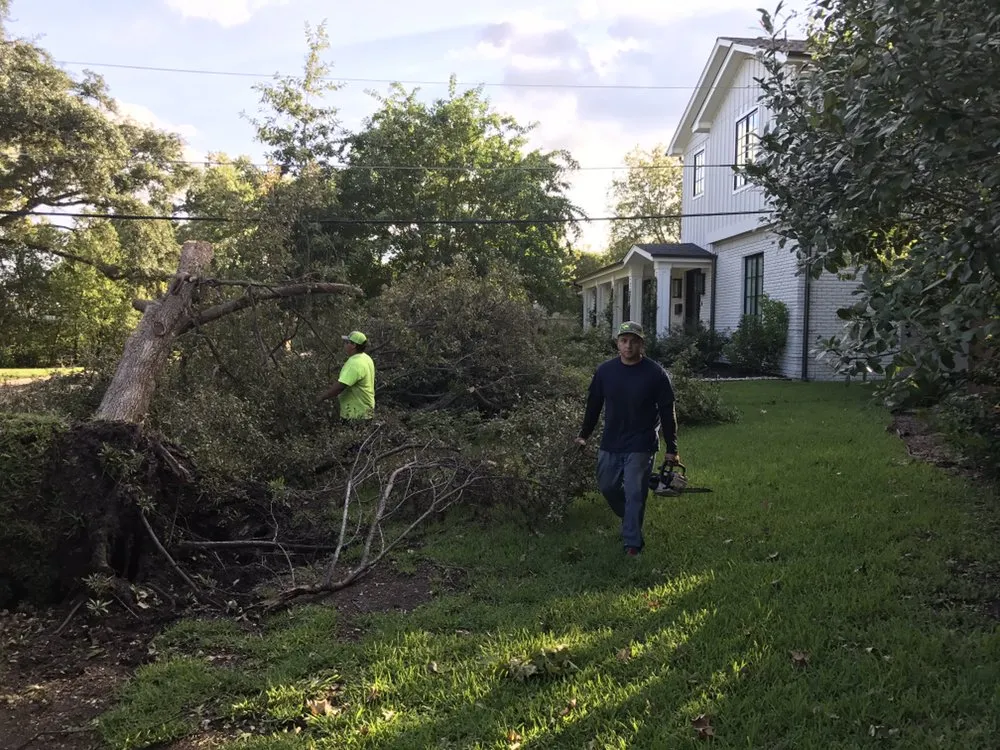 Reliable residential landscaping for homes across Round Rock, TX - Hill Country Tree Trimming