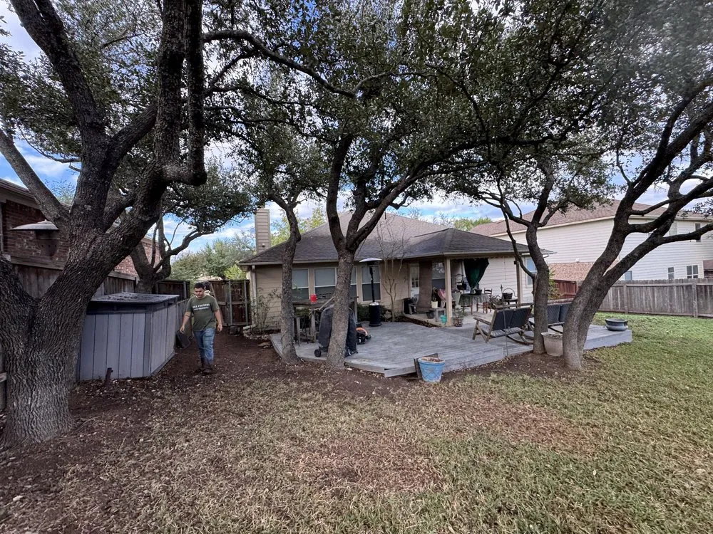 Local landscape design in Round Rock, TX - Hill Country Tree Trimming